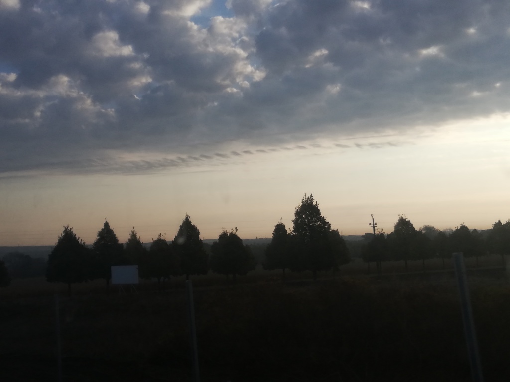 beillesztett kép