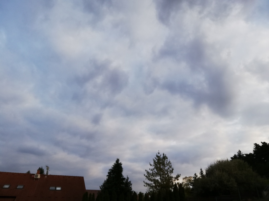 beillesztett kép