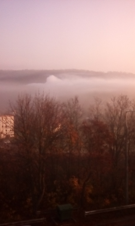 beillesztett kép