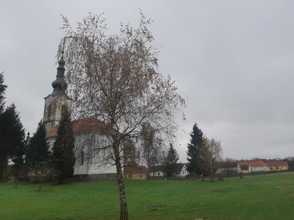 beillesztett kép