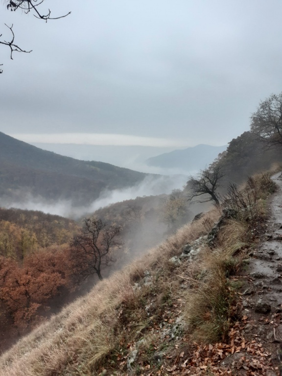 beillesztett kép