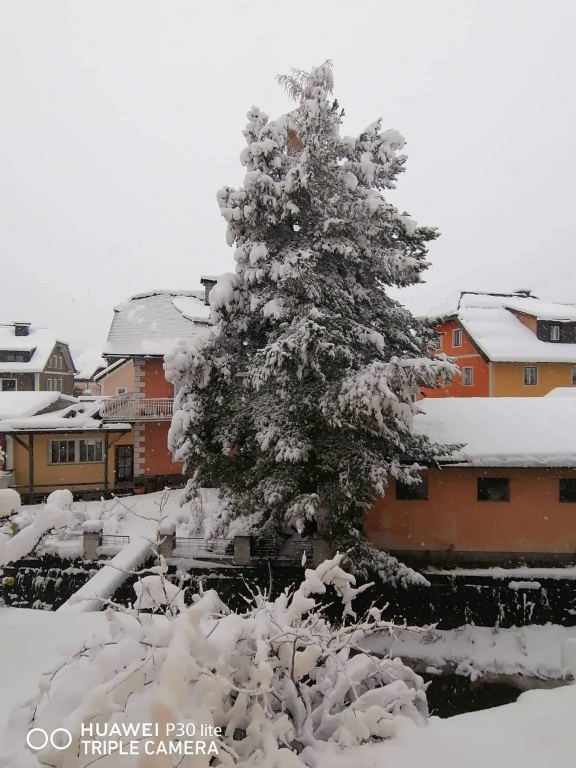 beillesztett kép