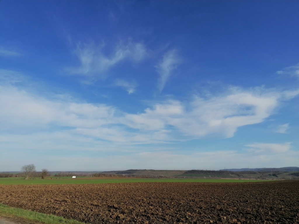 beillesztett kép
