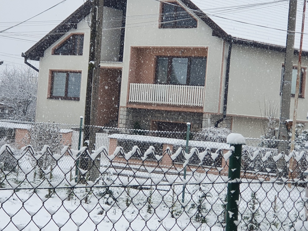 beillesztett kép