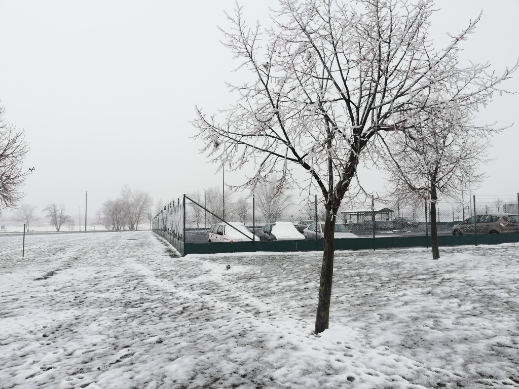 beillesztett kép