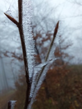 pic