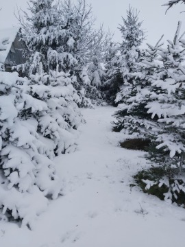 pic