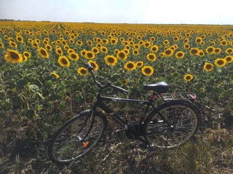 pic
