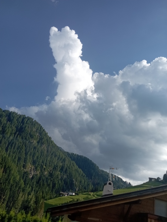 beillesztett kép