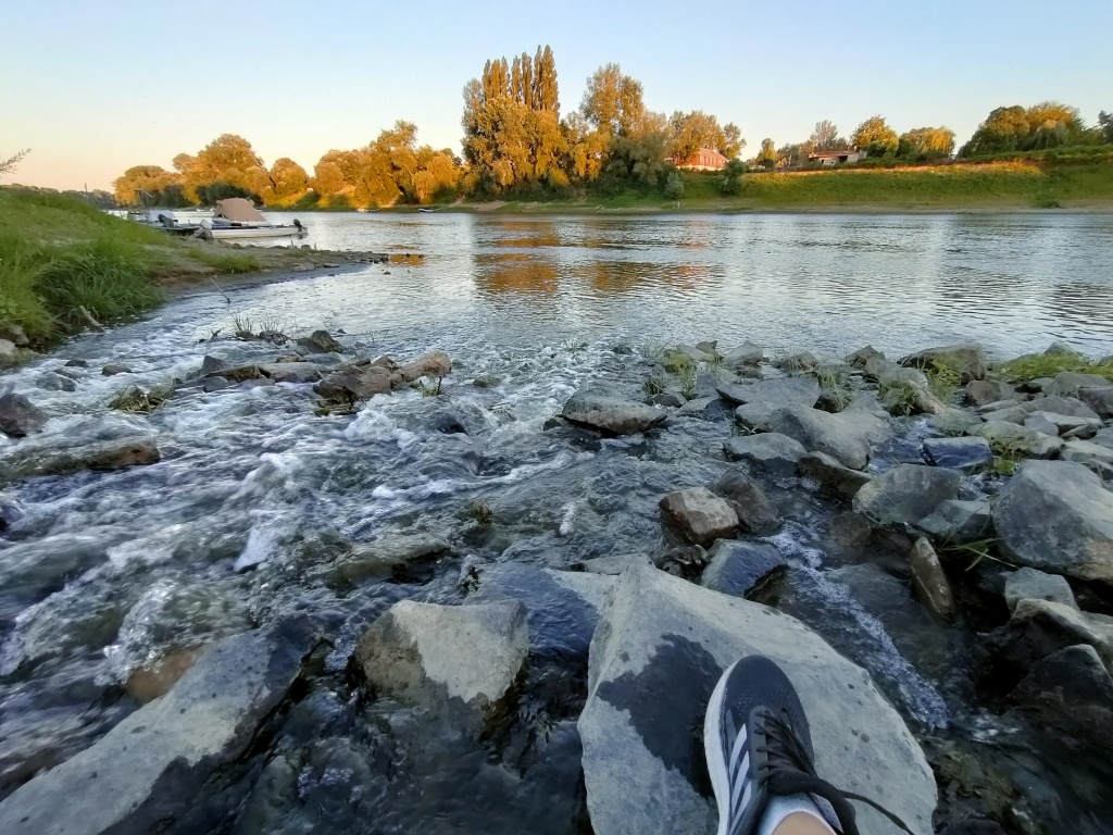 beillesztett kép