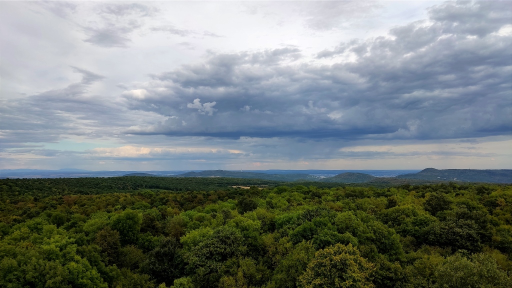 beillesztett kép