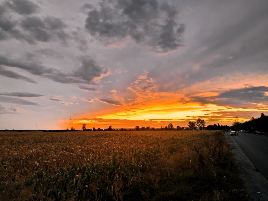 beillesztett kép