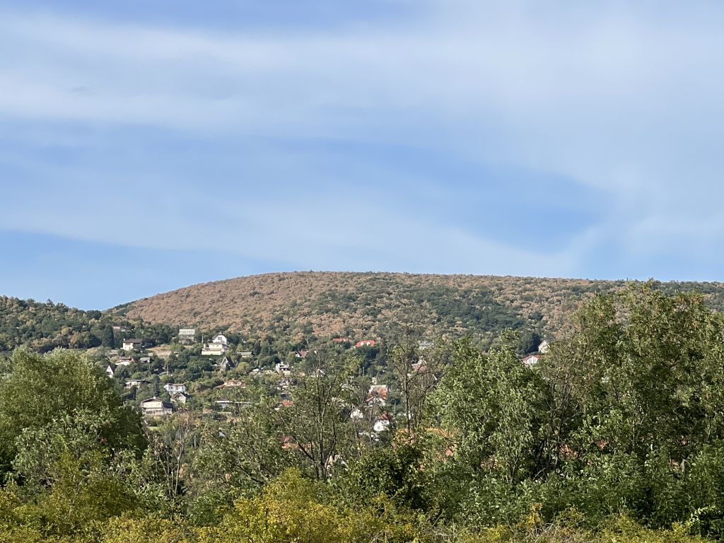 beillesztett kép