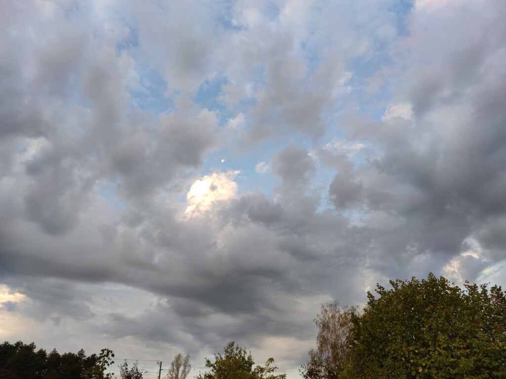 beillesztett kép