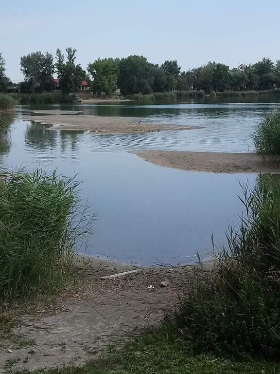 beillesztett kép