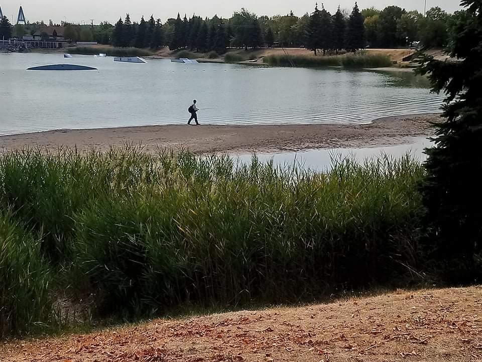 beillesztett kép