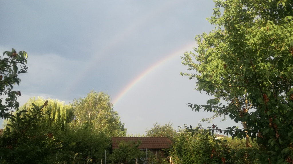 beillesztett kép