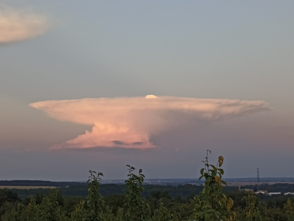 beillesztett kép