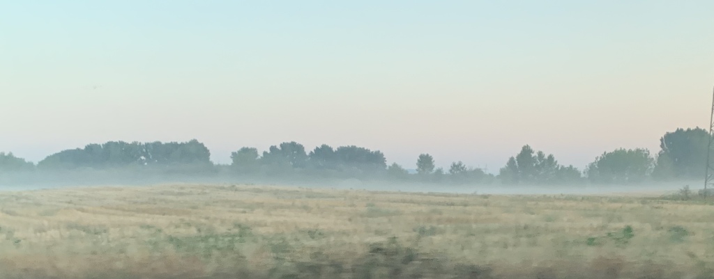 beillesztett kép