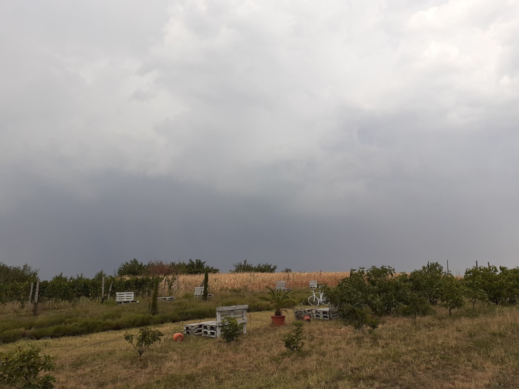 beillesztett kép