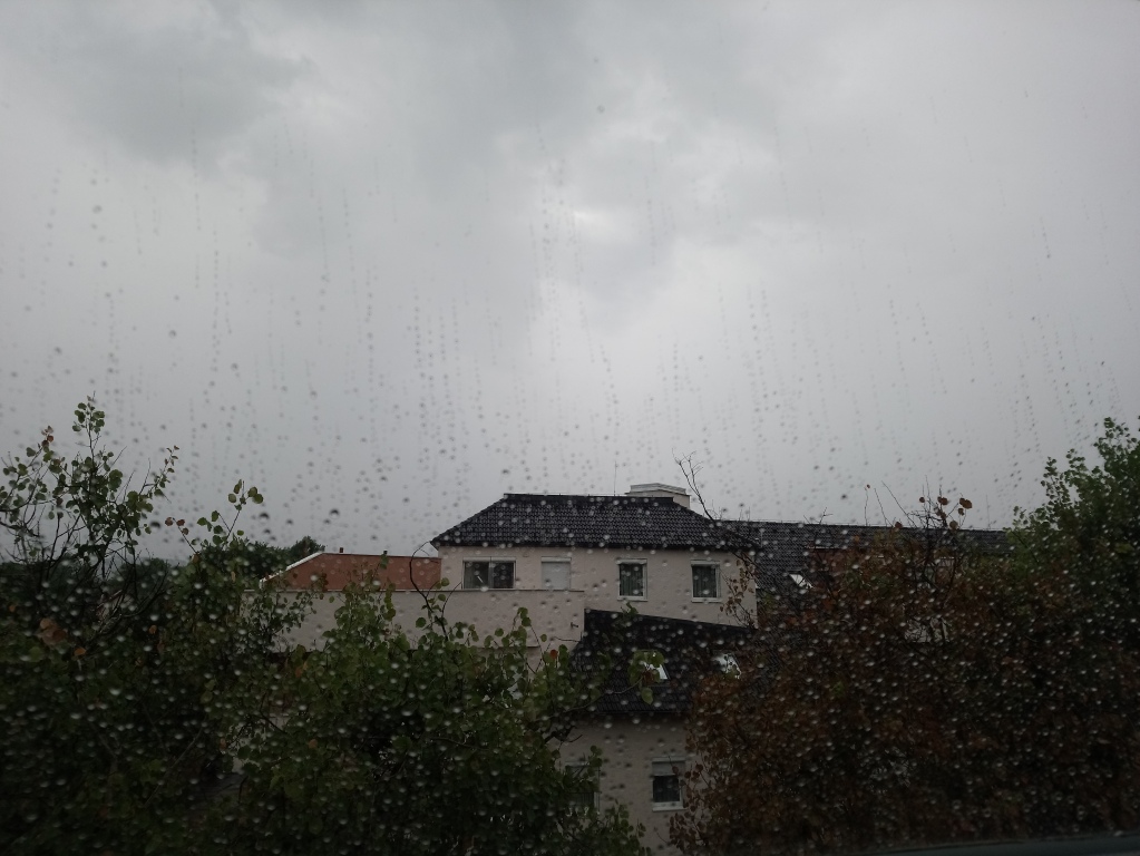 beillesztett kép
