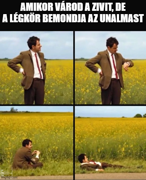 beillesztett kép