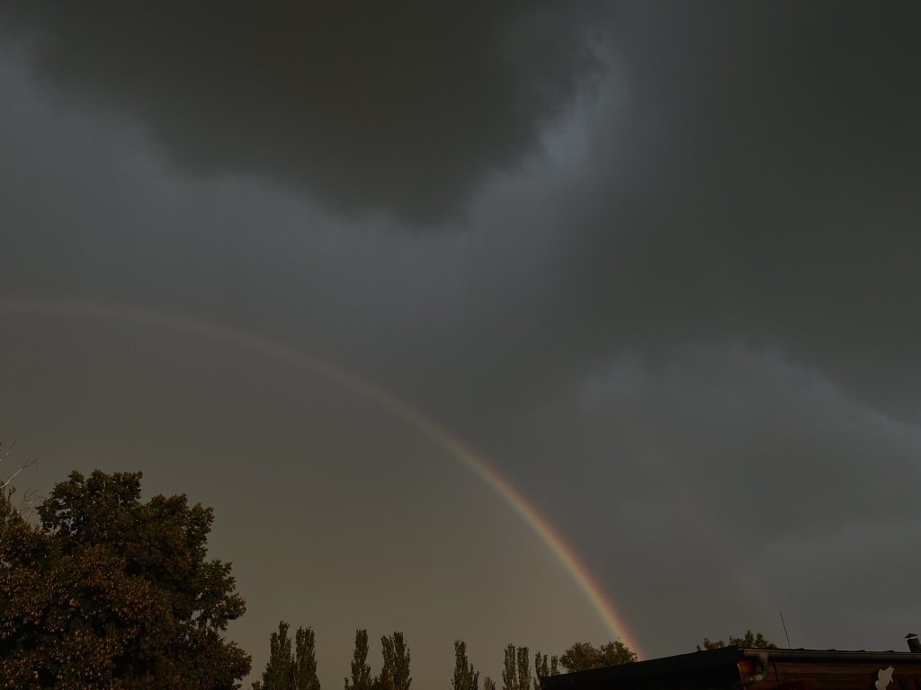 beillesztett kép