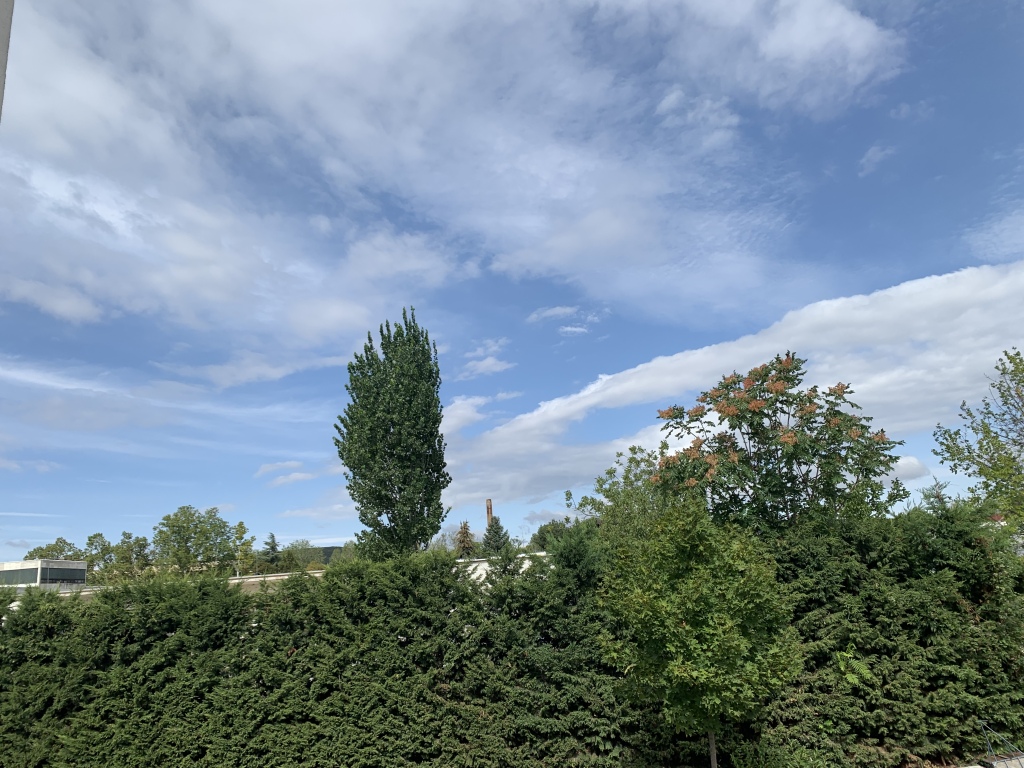 beillesztett kép