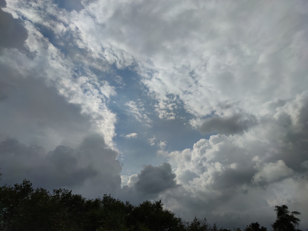 beillesztett kép
