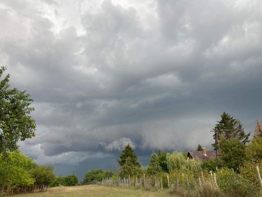 beillesztett kép