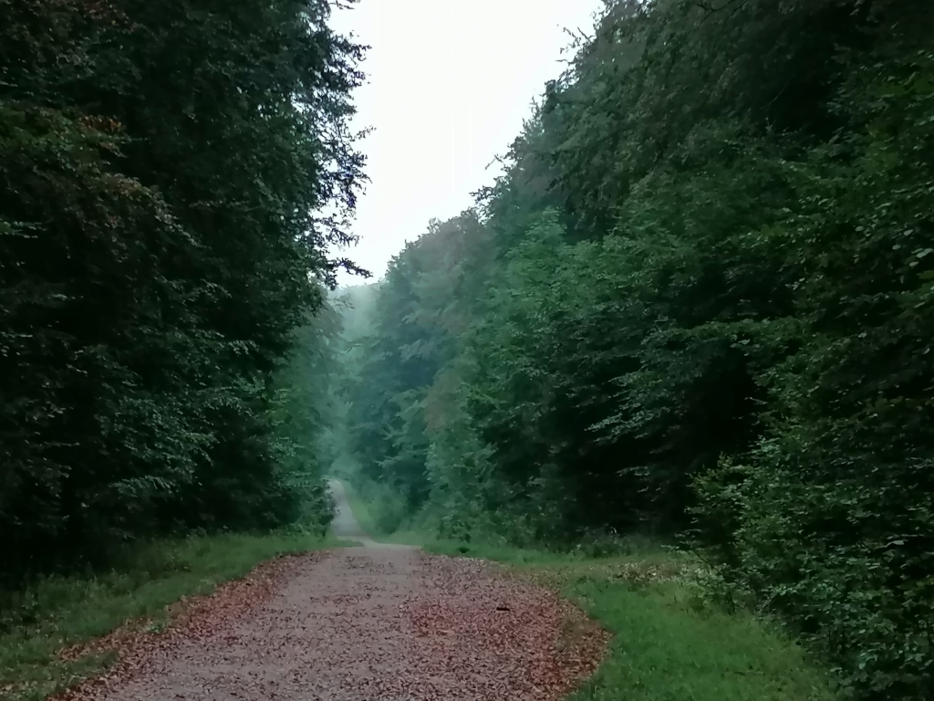 beillesztett kép