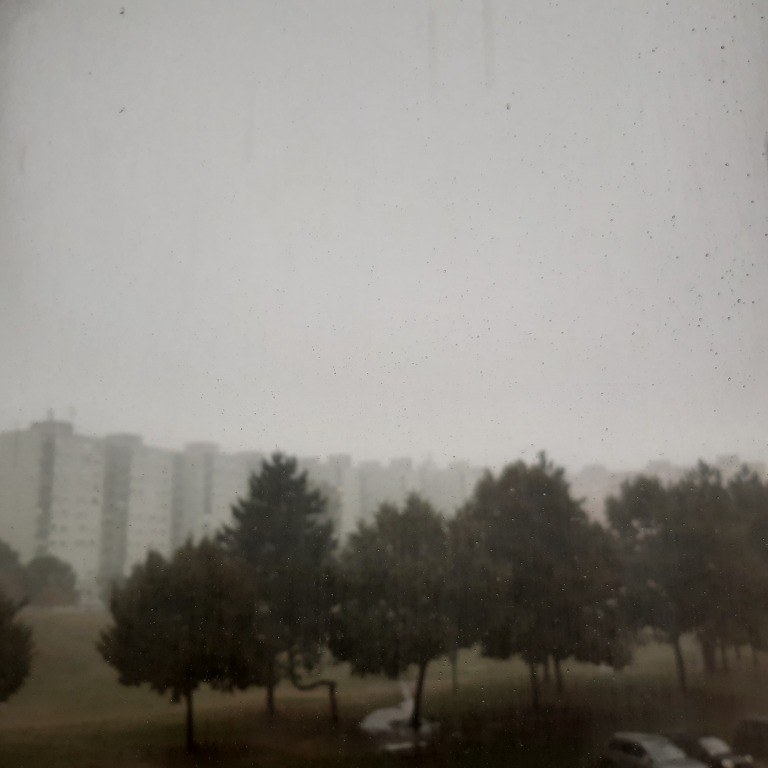 beillesztett kép