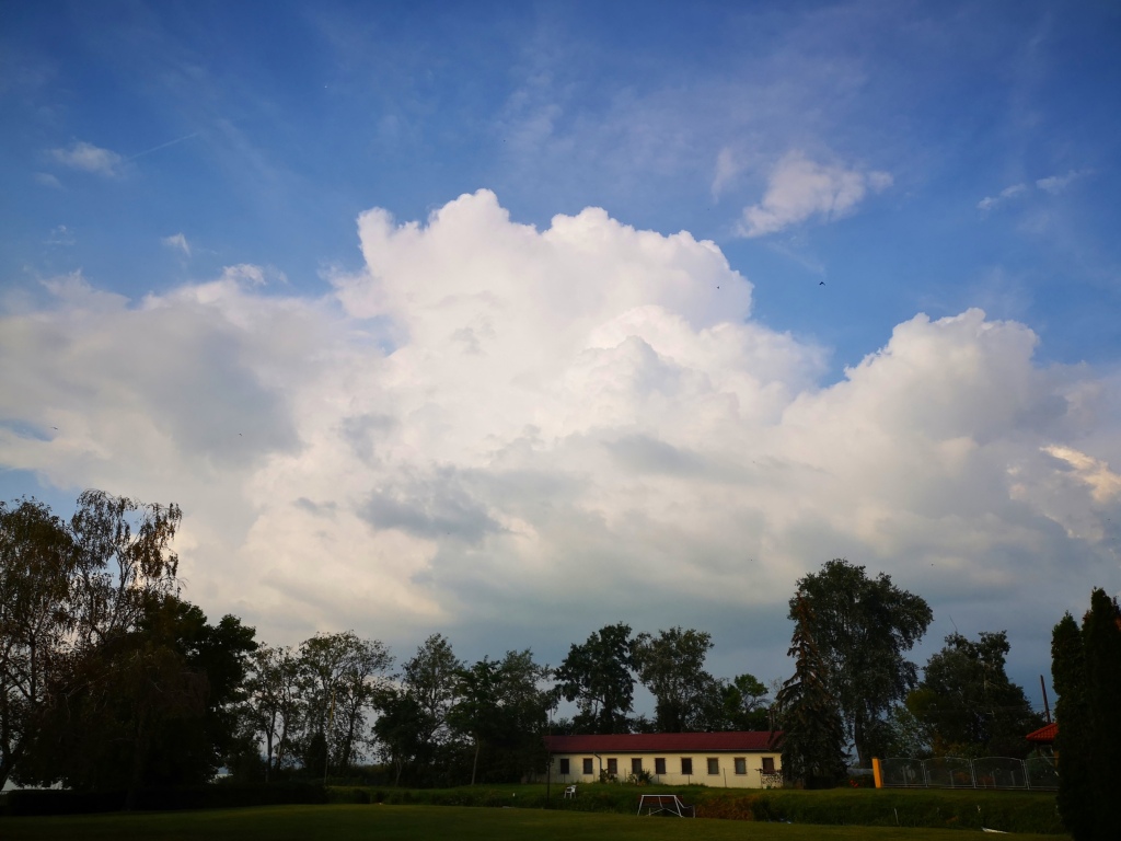 beillesztett kép