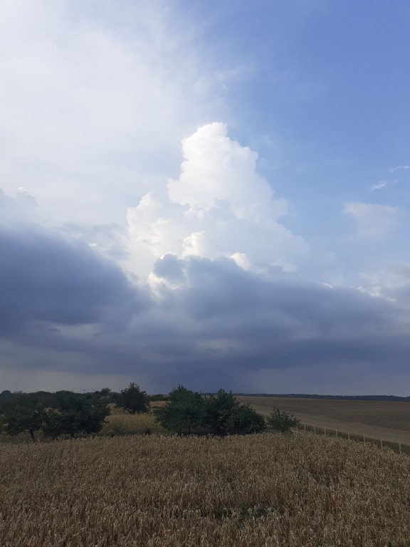 beillesztett kép