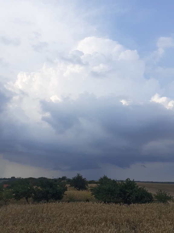 beillesztett kép