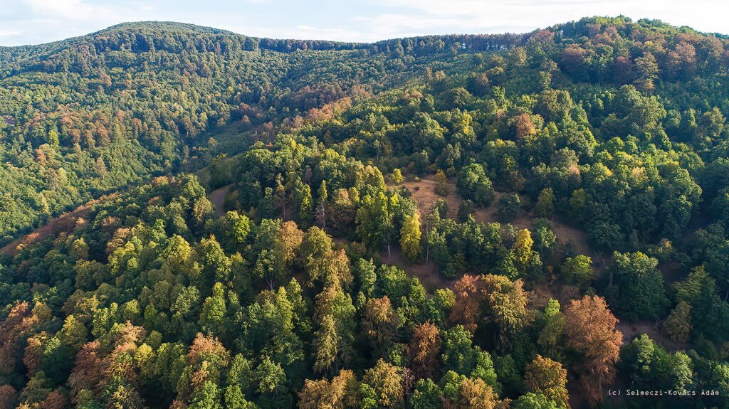 beillesztett kép