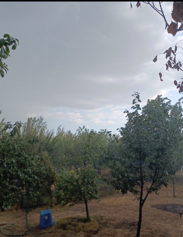 beillesztett kép