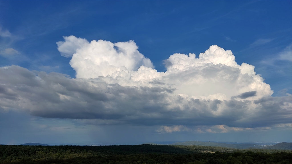 beillesztett kép