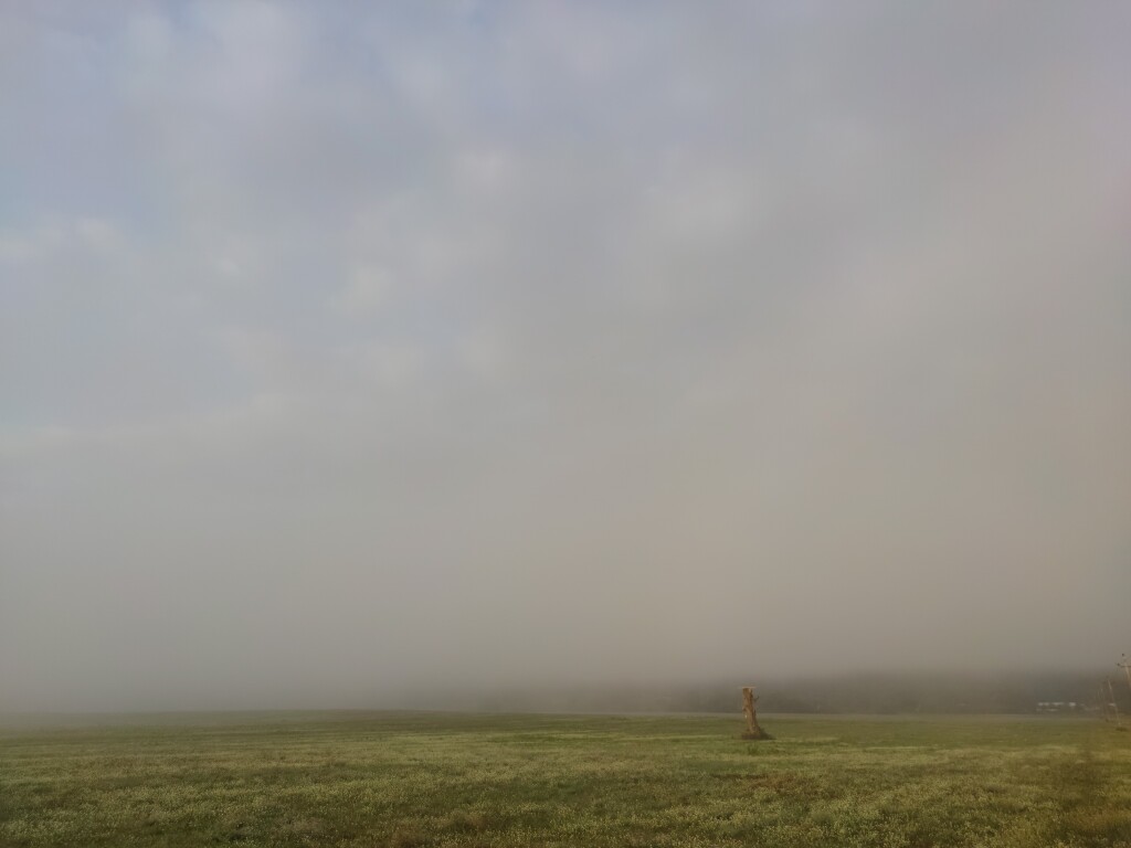 beillesztett kép