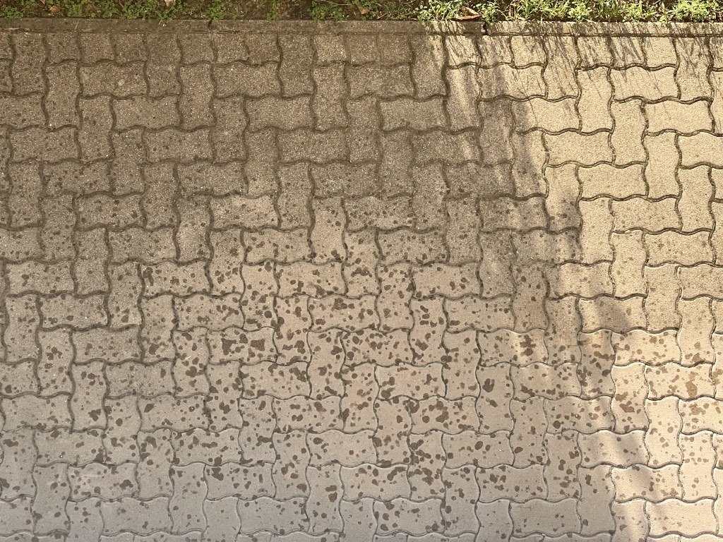 beillesztett kép