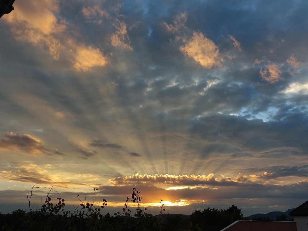 beillesztett kép