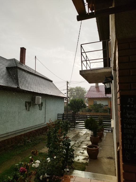 beillesztett kép