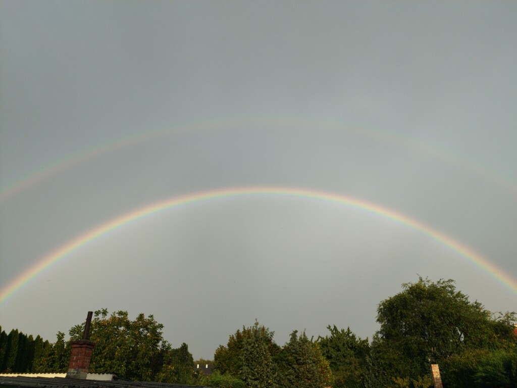 beillesztett kép