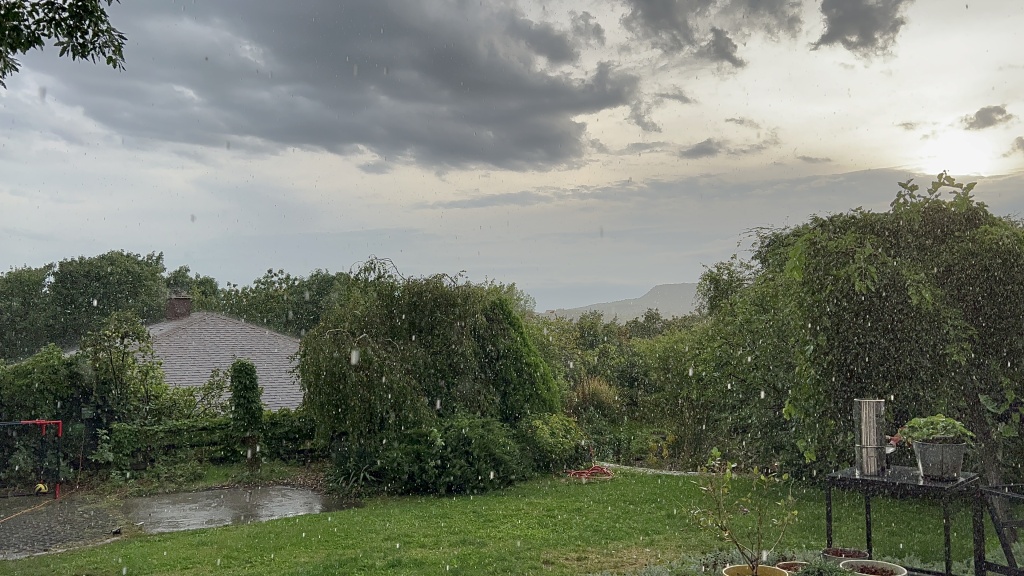 beillesztett kép