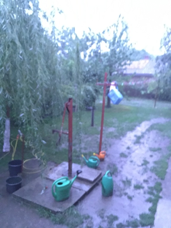 beillesztett kép