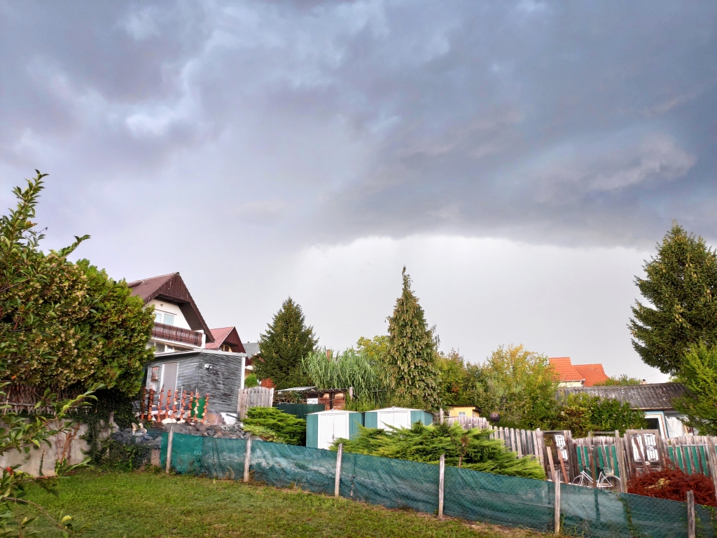 beillesztett kép