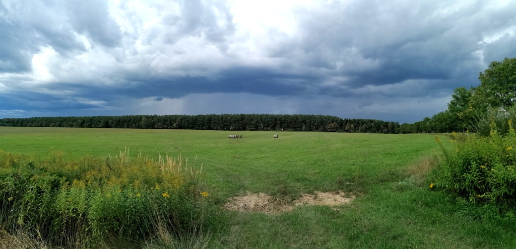 beillesztett kép