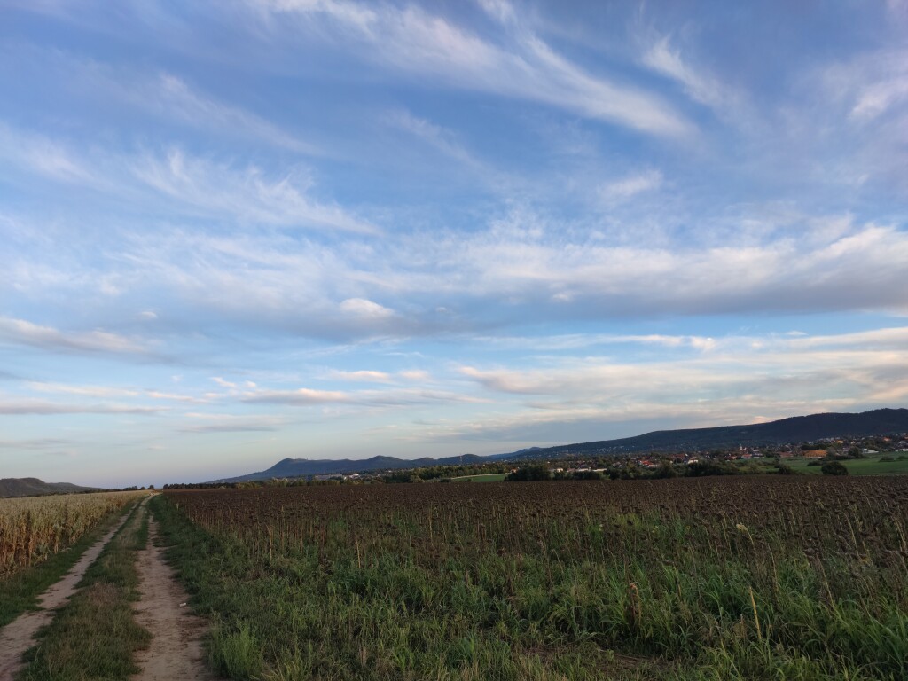 beillesztett kép