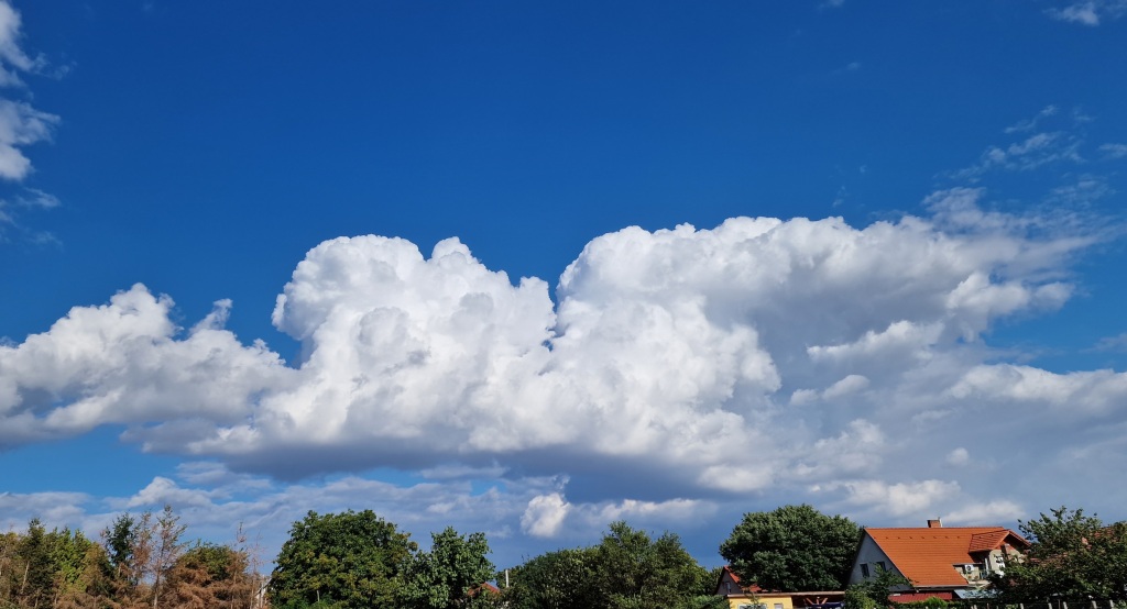 beillesztett kép
