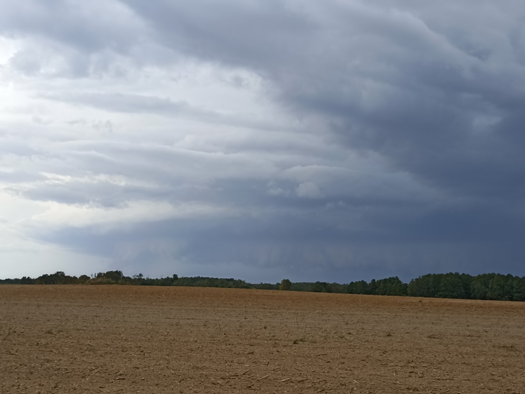 beillesztett kép